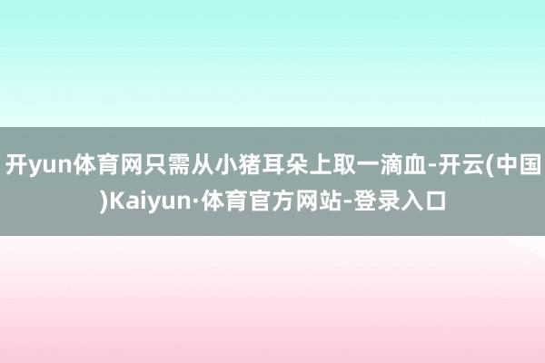开yun体育网只需从小猪耳朵上取一滴血-开云(中国)Kaiyun·体育官方网站-登录入口